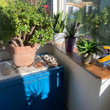 La Claire Alojamento de Acomodação e Pequeno-almoço 3*